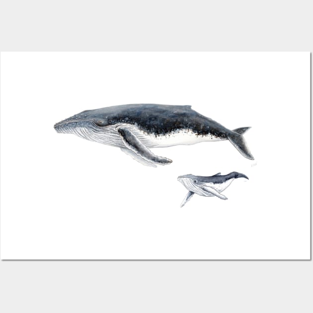 Humpback whale mother and baby whale Wall Art by chloeyzoard